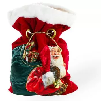 imagem de Acessório Natal Saco de Papai Noel SM-14 Médio - Catran