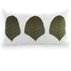 imagem do produto Almofada Baguete Sarja Folhas 960-04 35x52cm - Catran