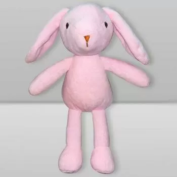 imagem de Bicho de Pelúcia Coelho - Catran