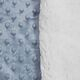 imagem do produto Cobertor Infantil Microfibra Plush Dots Sherpa - Catran