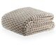 imagem do produto Cobertor Queen 330g Toque Seda Blanket Zurich - Kacyumara