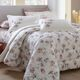 imagem do produto Jogo de Cama Queen 200 Fios Jador - Kacyumara
