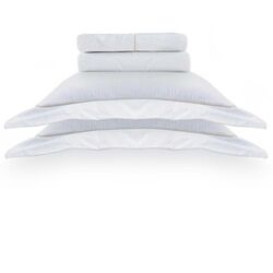 Jogo de Cama Queen Algodão Pima Branco/Bronze