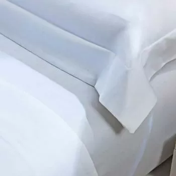 imagem de Jogo de Cama Solteiro 300 Fios Essencial - Catran