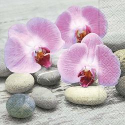 Kit Guardanapos 20 peças Ambiental Paper Orchids On Stones Cinza/Lilás