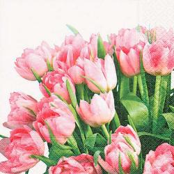 imagem de Kit Guardanapos 20 peas Ambiental Paper Tulip Time - Catran