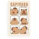 imagem do produto Toalha de Banho Infantil Felpuda Capivara 70x130cm - Dohler