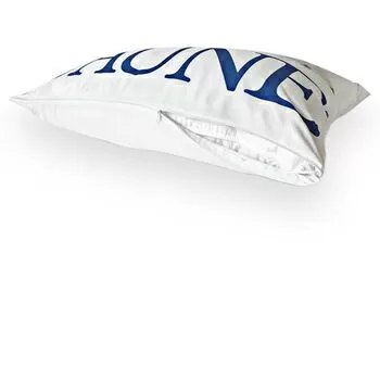 imagem de Travesseiro 50x70cm 100% Pluma de Ganso - Daune