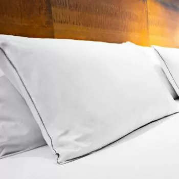 imagem de Travesseiro 50x90cm Neo Prime - Camesa